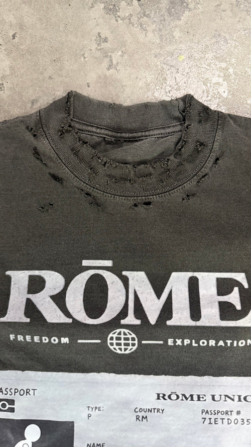 Grey RŌME Graphic Tee
